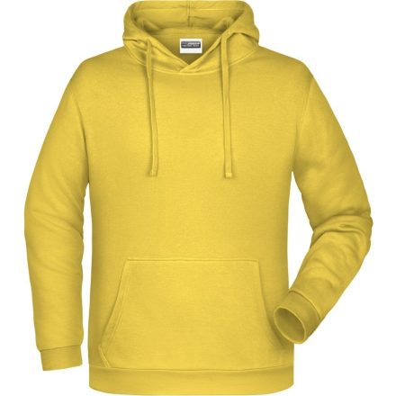 James & Nicholson Men's Hooded Sweatshirt