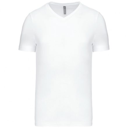 Kariban Men's V-Neck T-Shirt