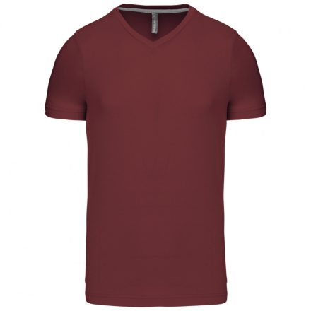 Kariban Men's V-Neck T-Shirt